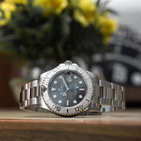 rolex master 37|rolex yacht master 37 rhodium.